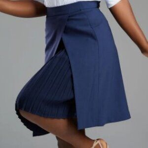 SERAGYI Pleated Blue Mai Skirt Size 4 NWT